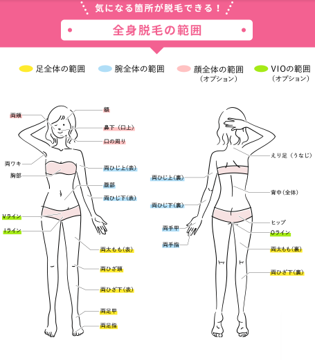シロノクリニックの全身脱毛の施術範囲