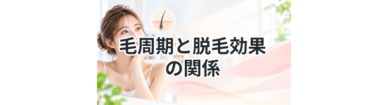 毛周期と脱毛効果の関係｜回数が必要な理由とは？