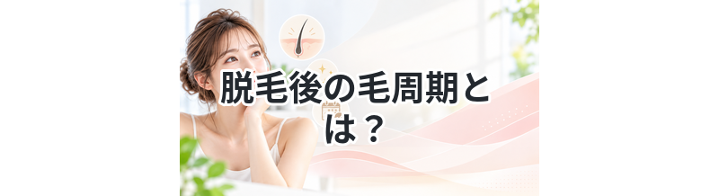 脱毛後の毛周期とは？わかりやすく解説