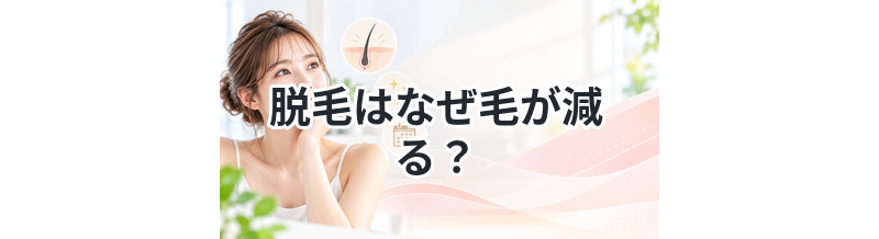 脱毛はなぜ毛が減る？原理を解説