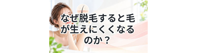 なぜ脱毛すると毛が生えにくくなるのか？