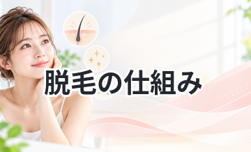 脱毛の仕組みをわかりやすく解説｜なぜ毛が減る？