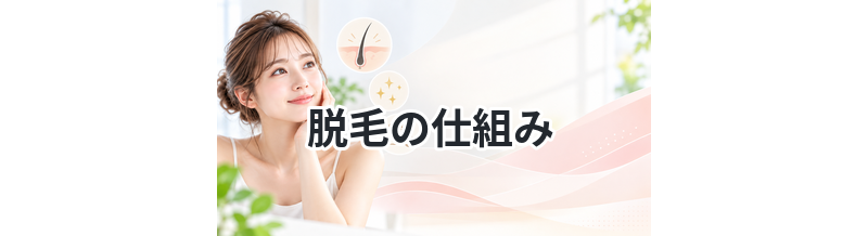 脱毛の仕組みをわかりやすく解説｜なぜ毛が減る？